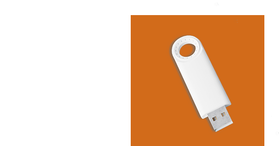 Participantes Presenciales